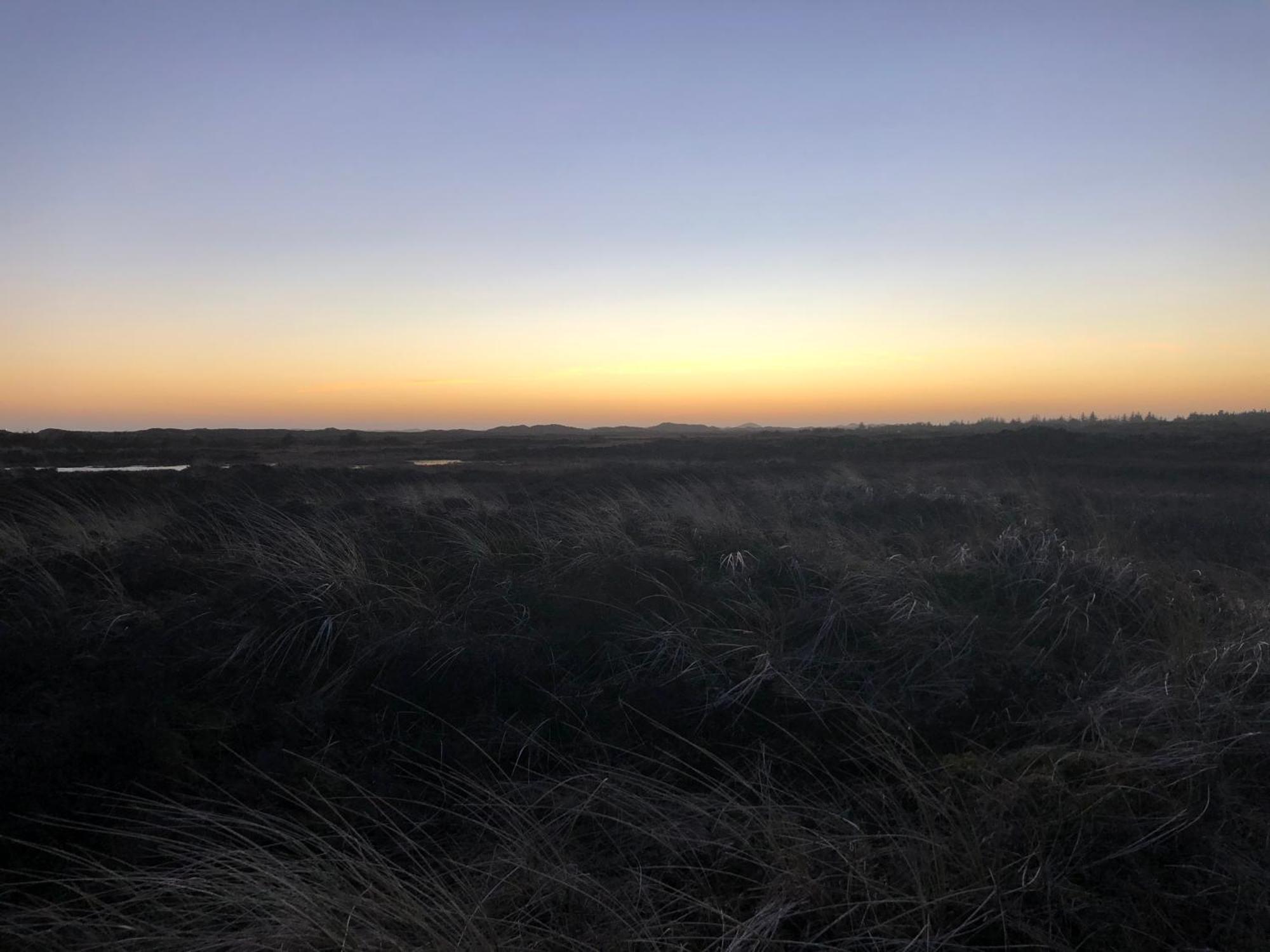 The Beach Farm - Charm, Beach And Stunning Nature Bedsted Thy エクステリア 写真