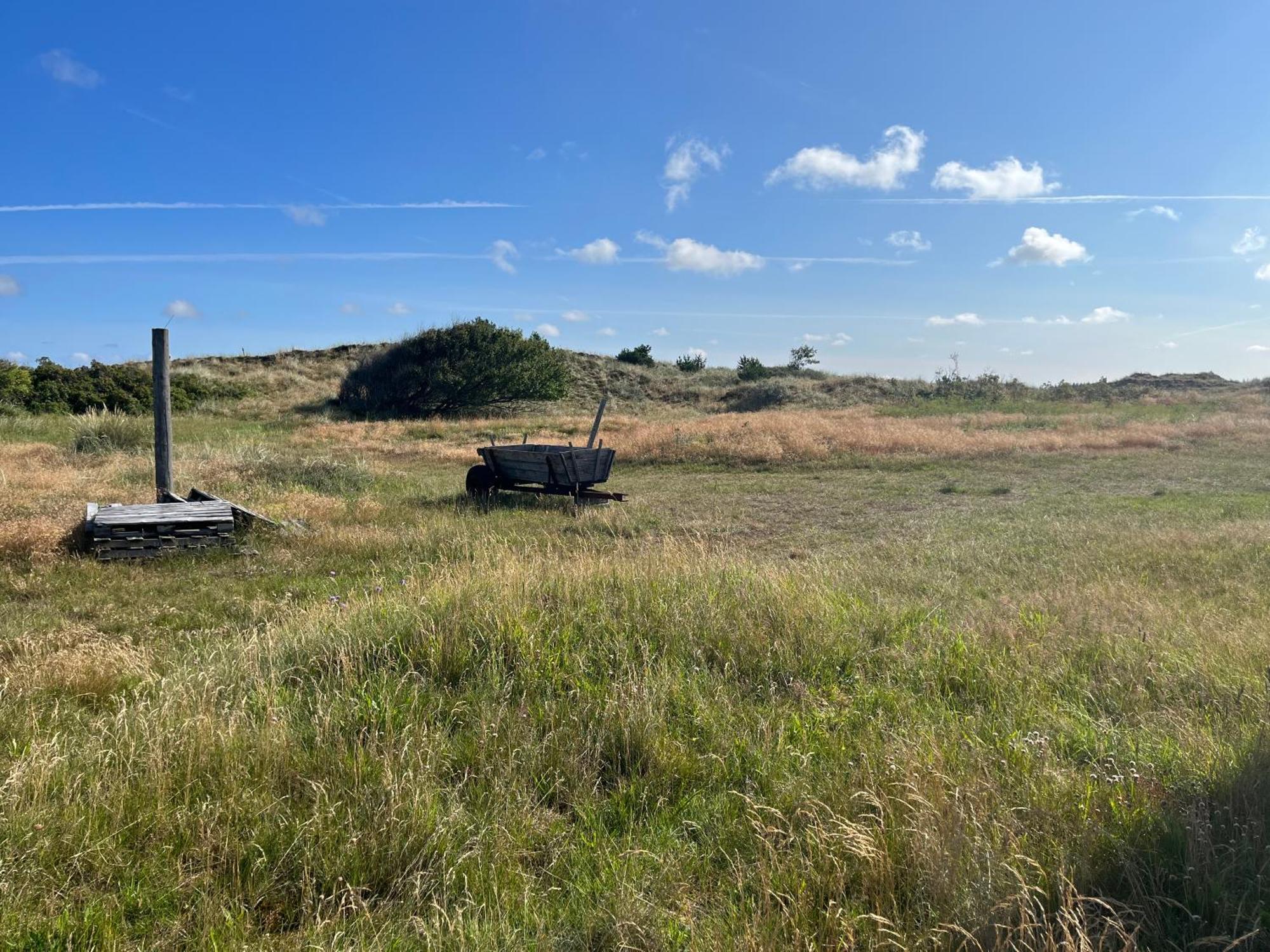 The Beach Farm - Charm, Beach And Stunning Nature Bedsted Thy エクステリア 写真