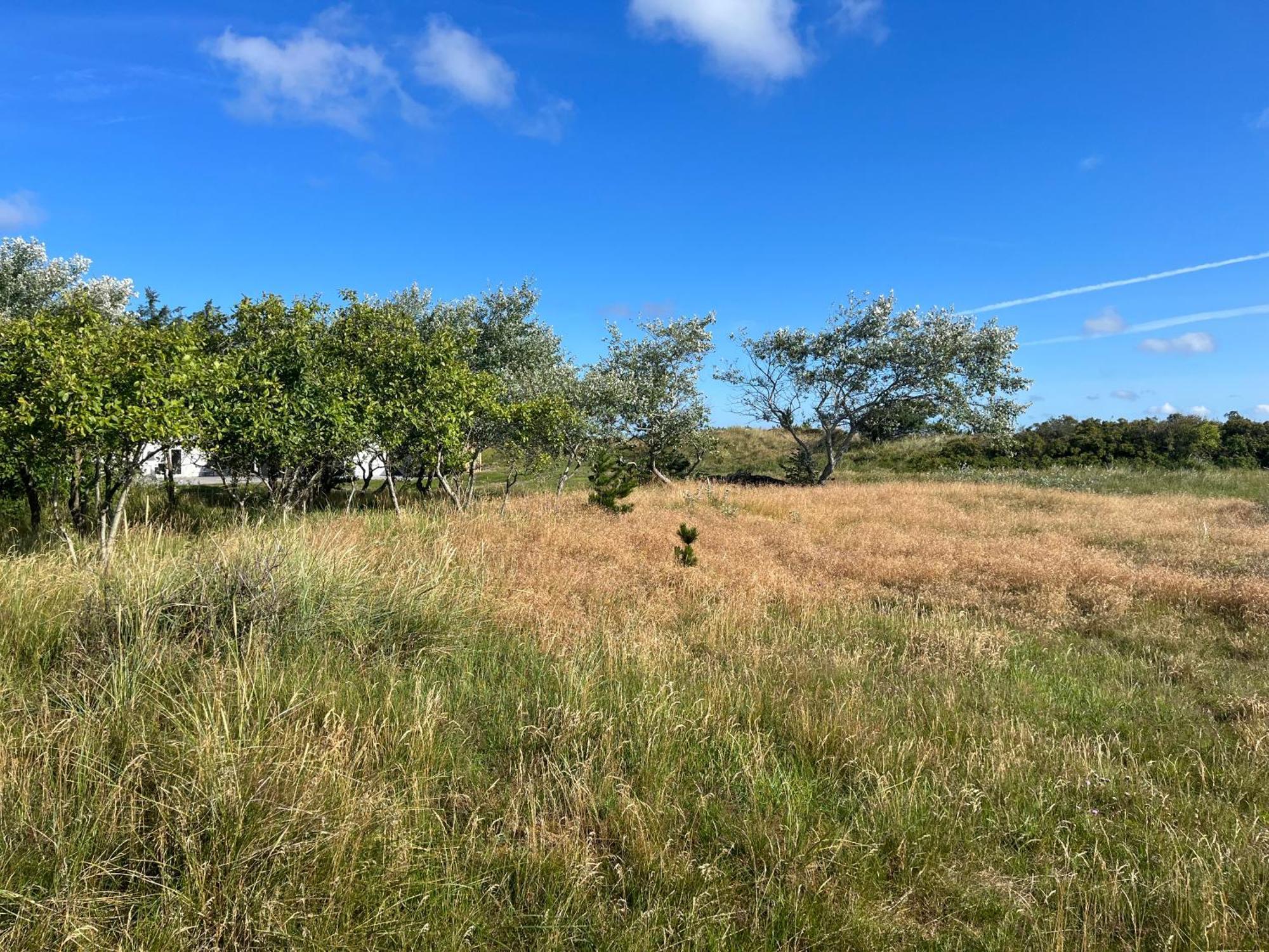 The Beach Farm - Charm, Beach And Stunning Nature Bedsted Thy エクステリア 写真
