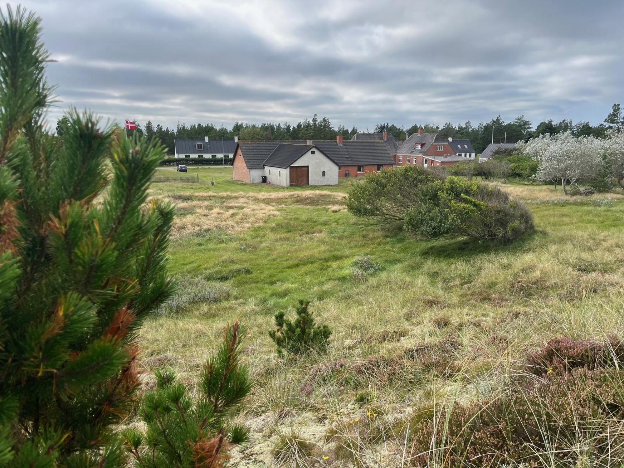 The Beach Farm - Charm, Beach And Stunning Nature Bedsted Thy エクステリア 写真