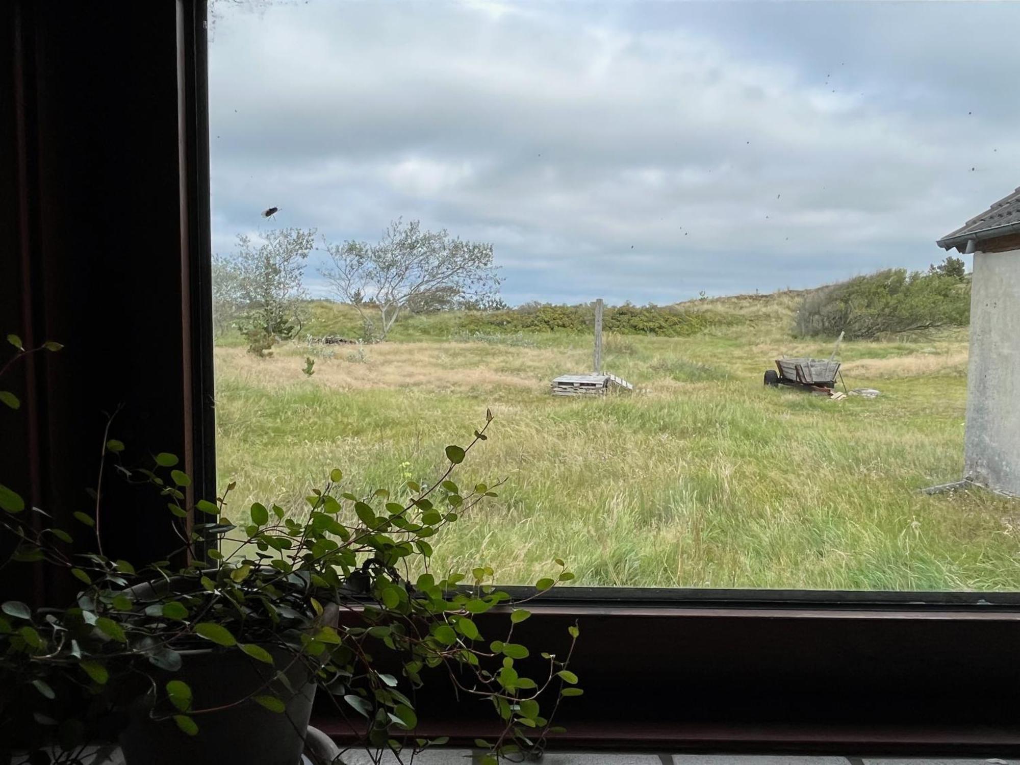 The Beach Farm - Charm, Beach And Stunning Nature Bedsted Thy エクステリア 写真