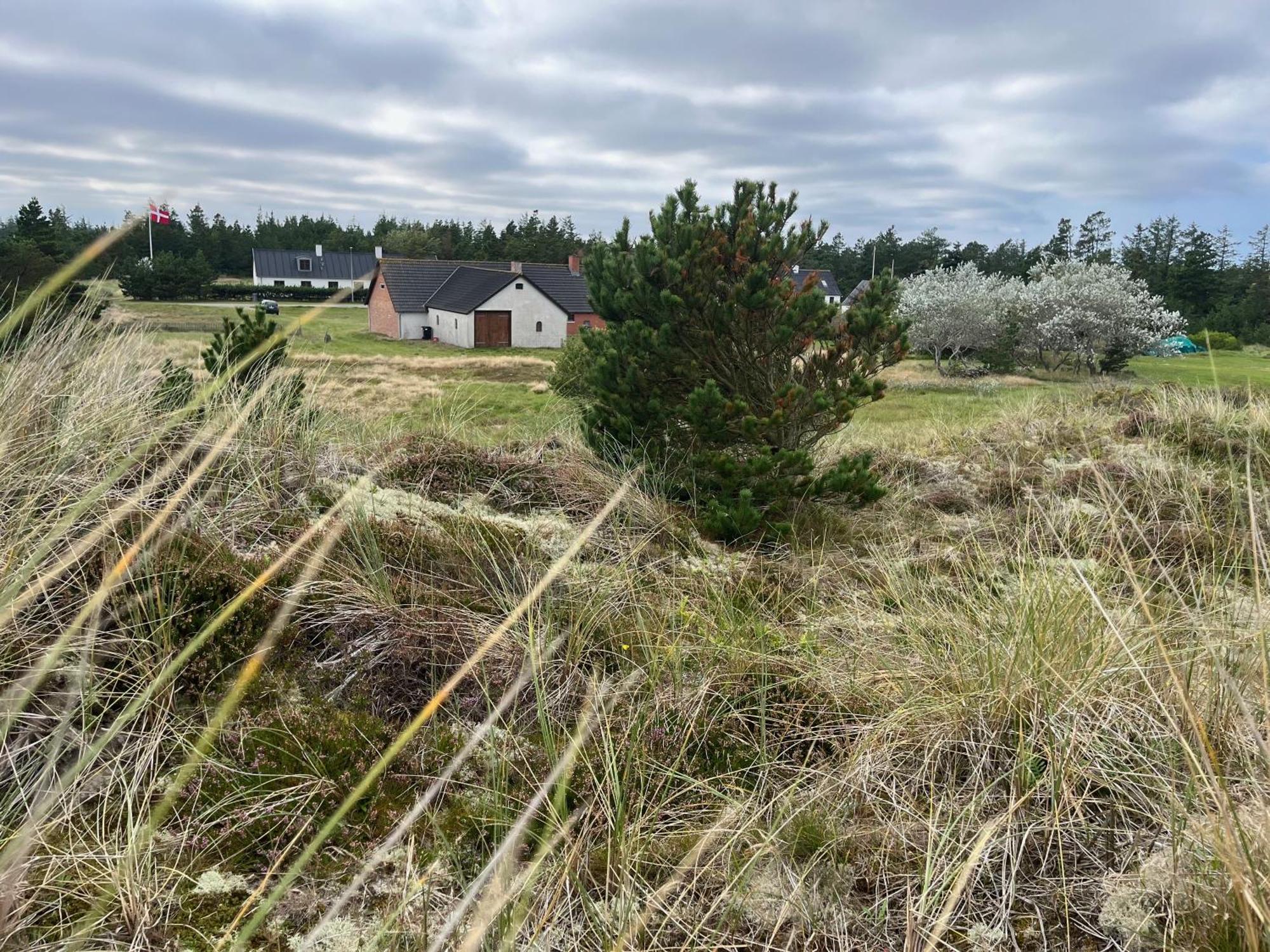 The Beach Farm - Charm, Beach And Stunning Nature Bedsted Thy エクステリア 写真