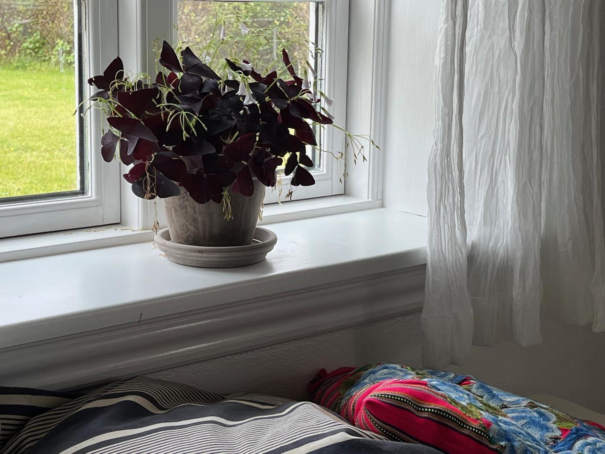 The Beach Farm - Charm, Beach And Stunning Nature Bedsted Thy エクステリア 写真