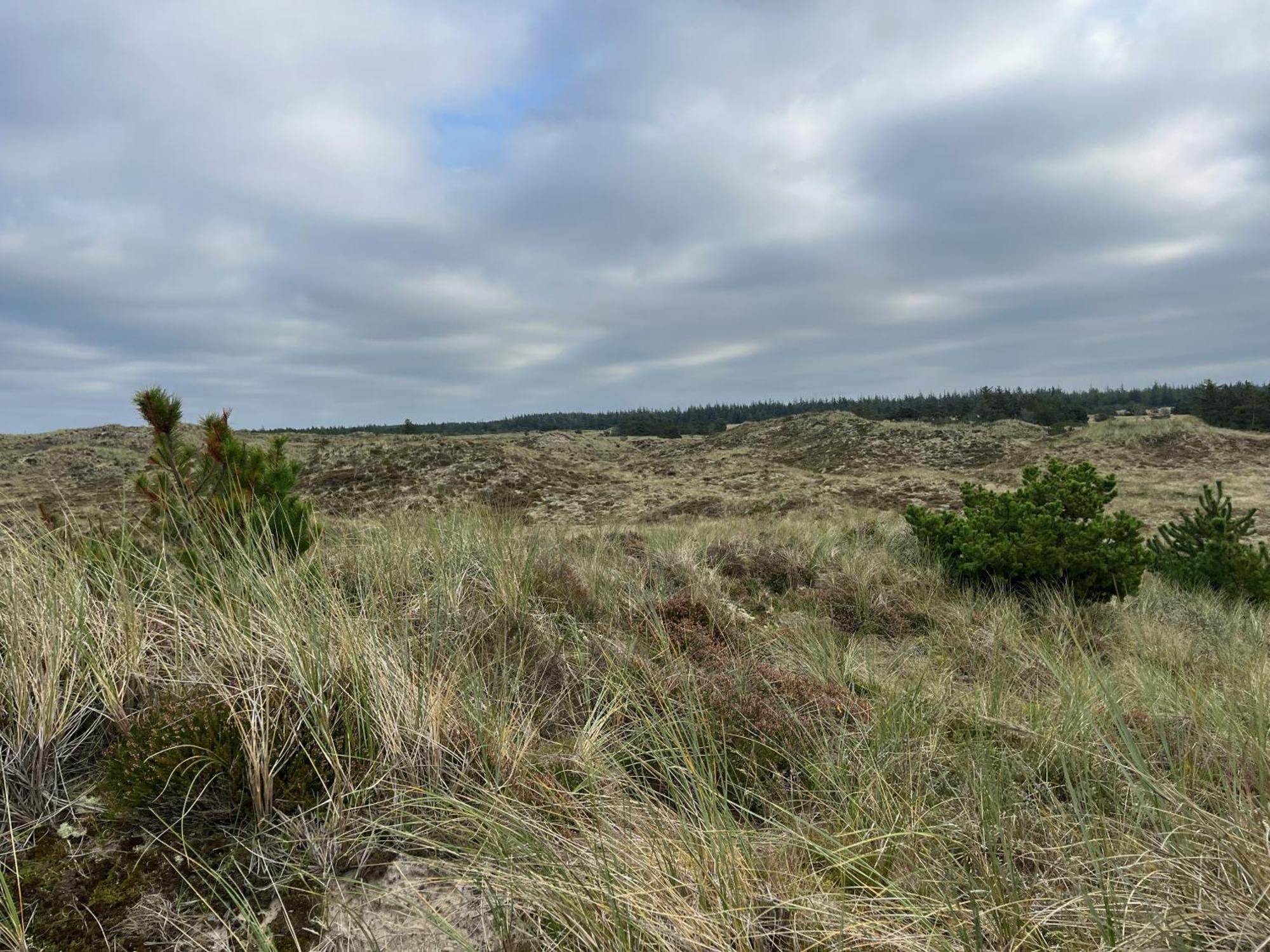 The Beach Farm - Charm, Beach And Stunning Nature Bedsted Thy エクステリア 写真