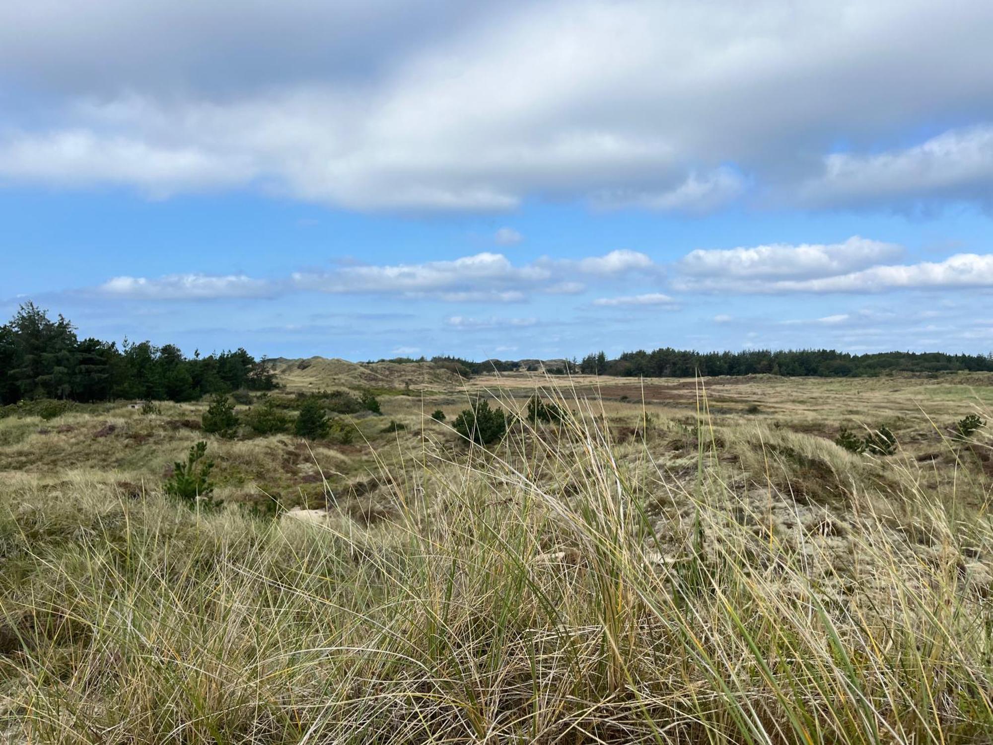The Beach Farm - Charm, Beach And Stunning Nature Bedsted Thy エクステリア 写真