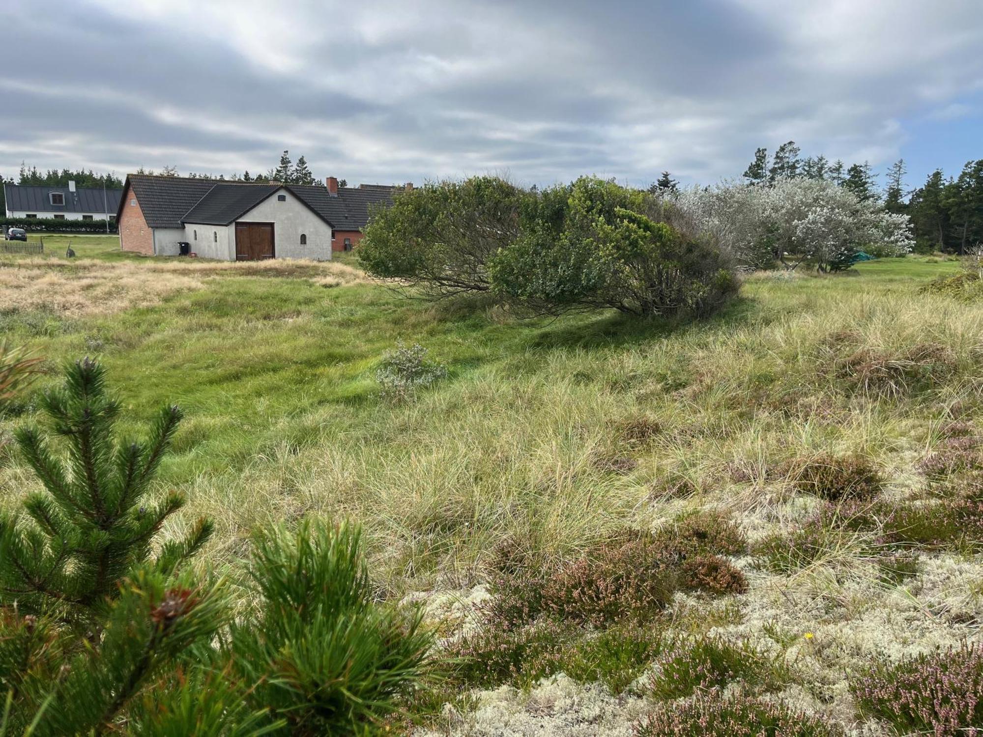 The Beach Farm - Charm, Beach And Stunning Nature Bedsted Thy エクステリア 写真