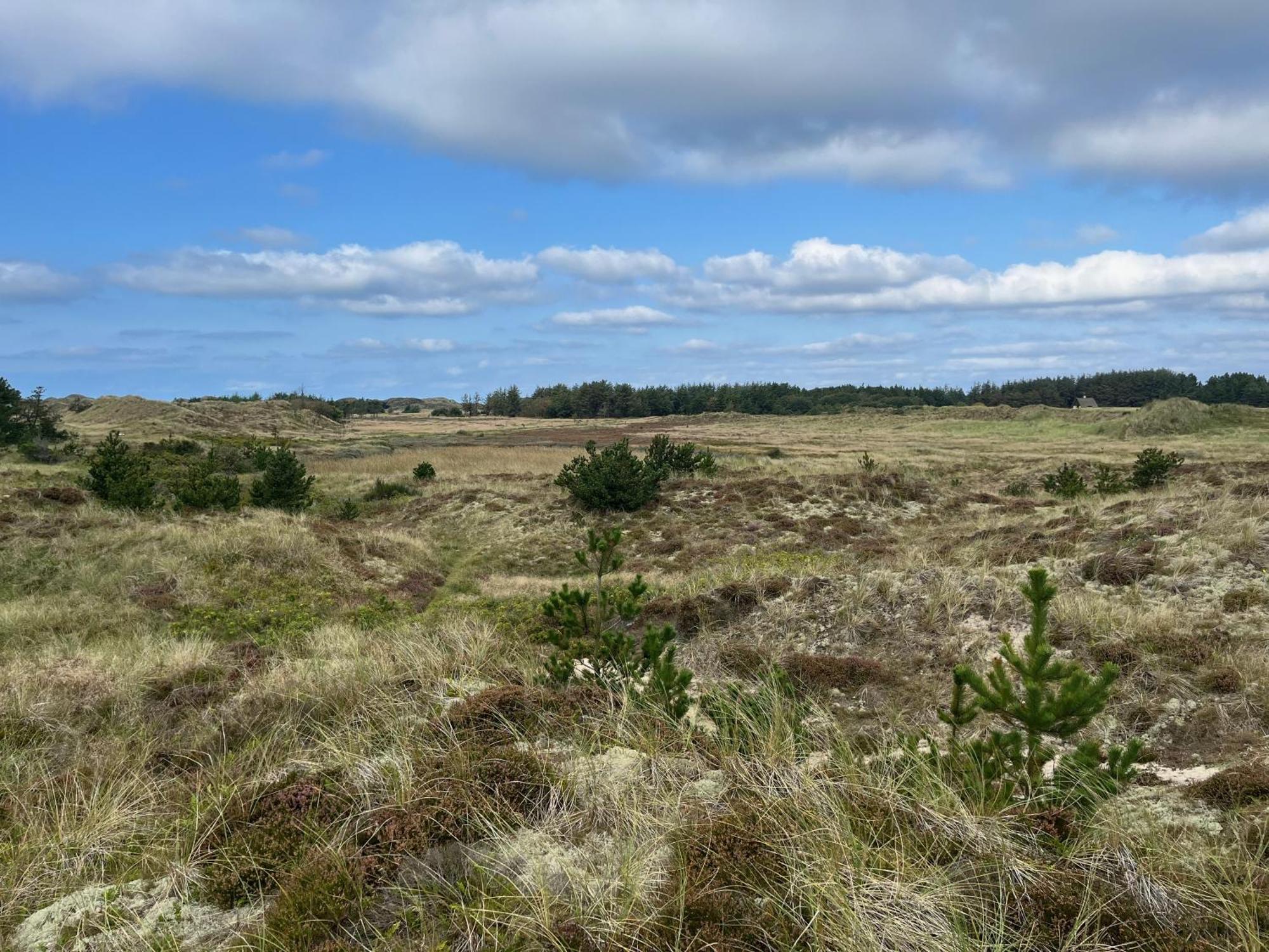 The Beach Farm - Charm, Beach And Stunning Nature Bedsted Thy エクステリア 写真