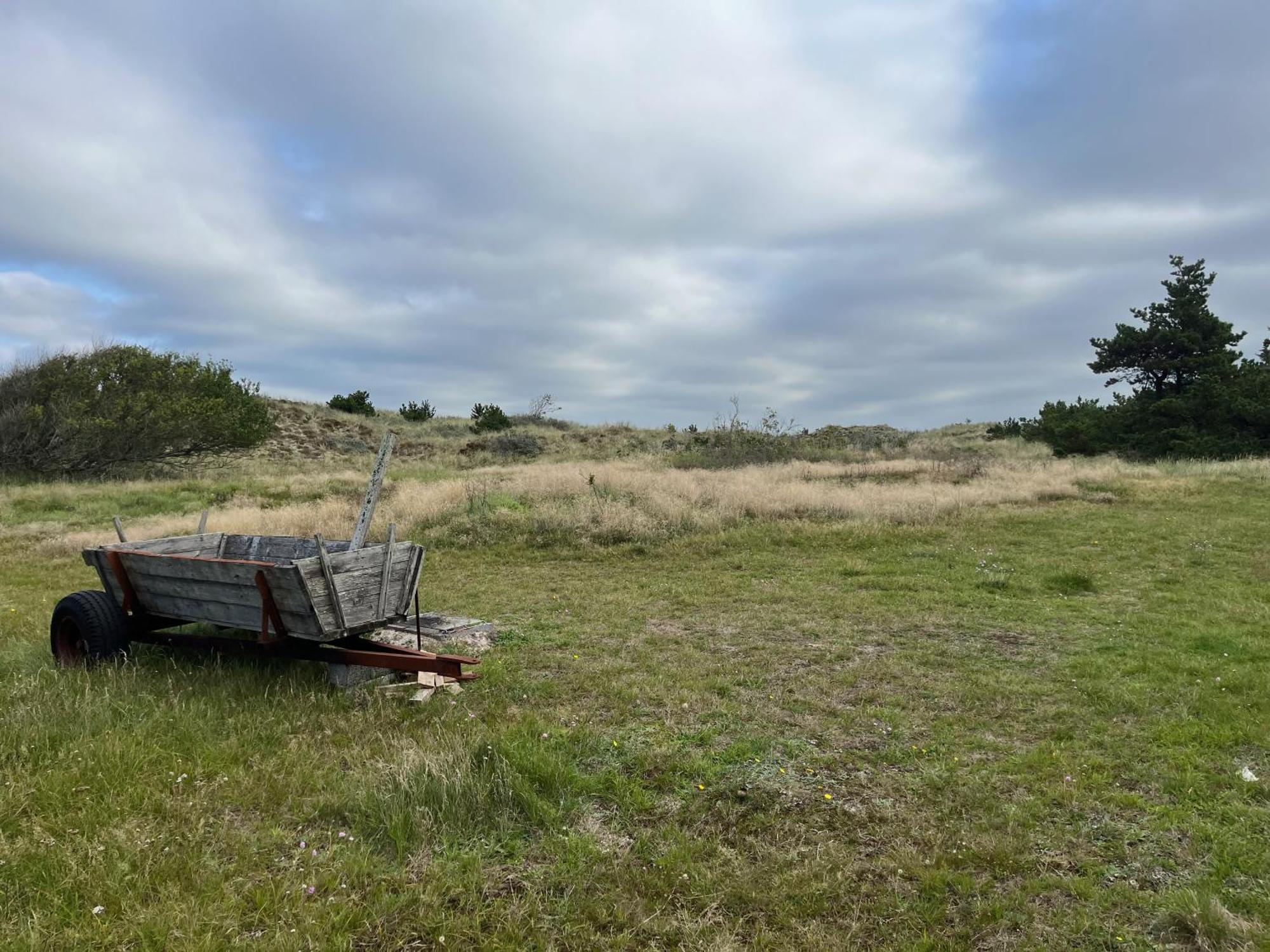 The Beach Farm - Charm, Beach And Stunning Nature Bedsted Thy エクステリア 写真