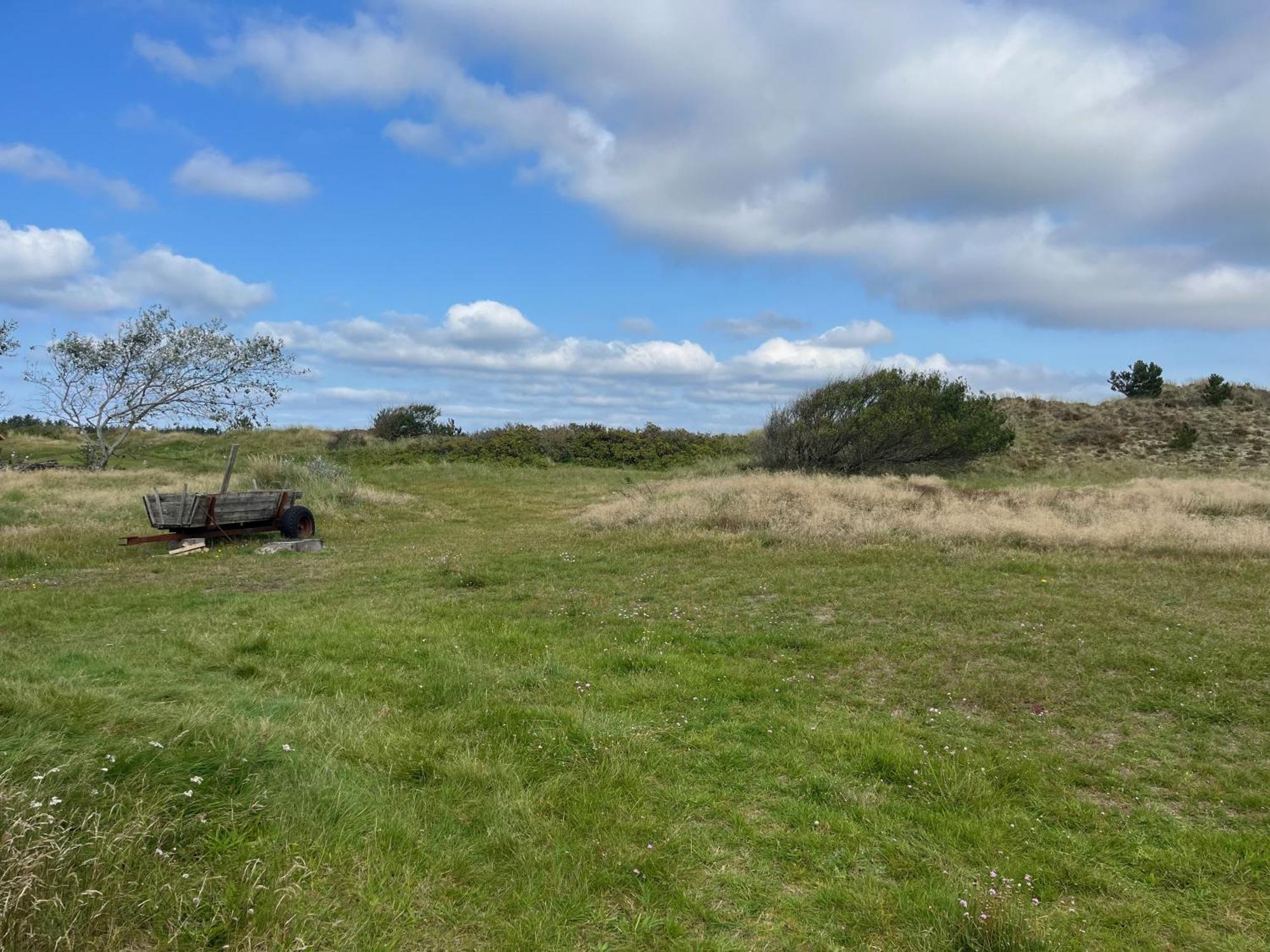 The Beach Farm - Charm, Beach And Stunning Nature Bedsted Thy エクステリア 写真