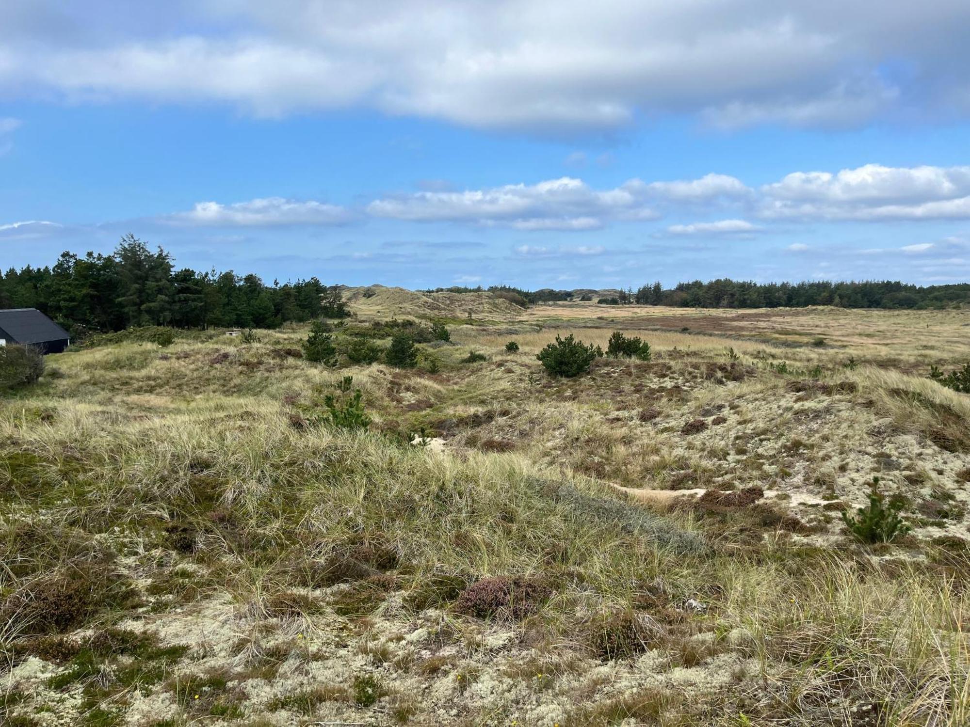 The Beach Farm - Charm, Beach And Stunning Nature Bedsted Thy エクステリア 写真