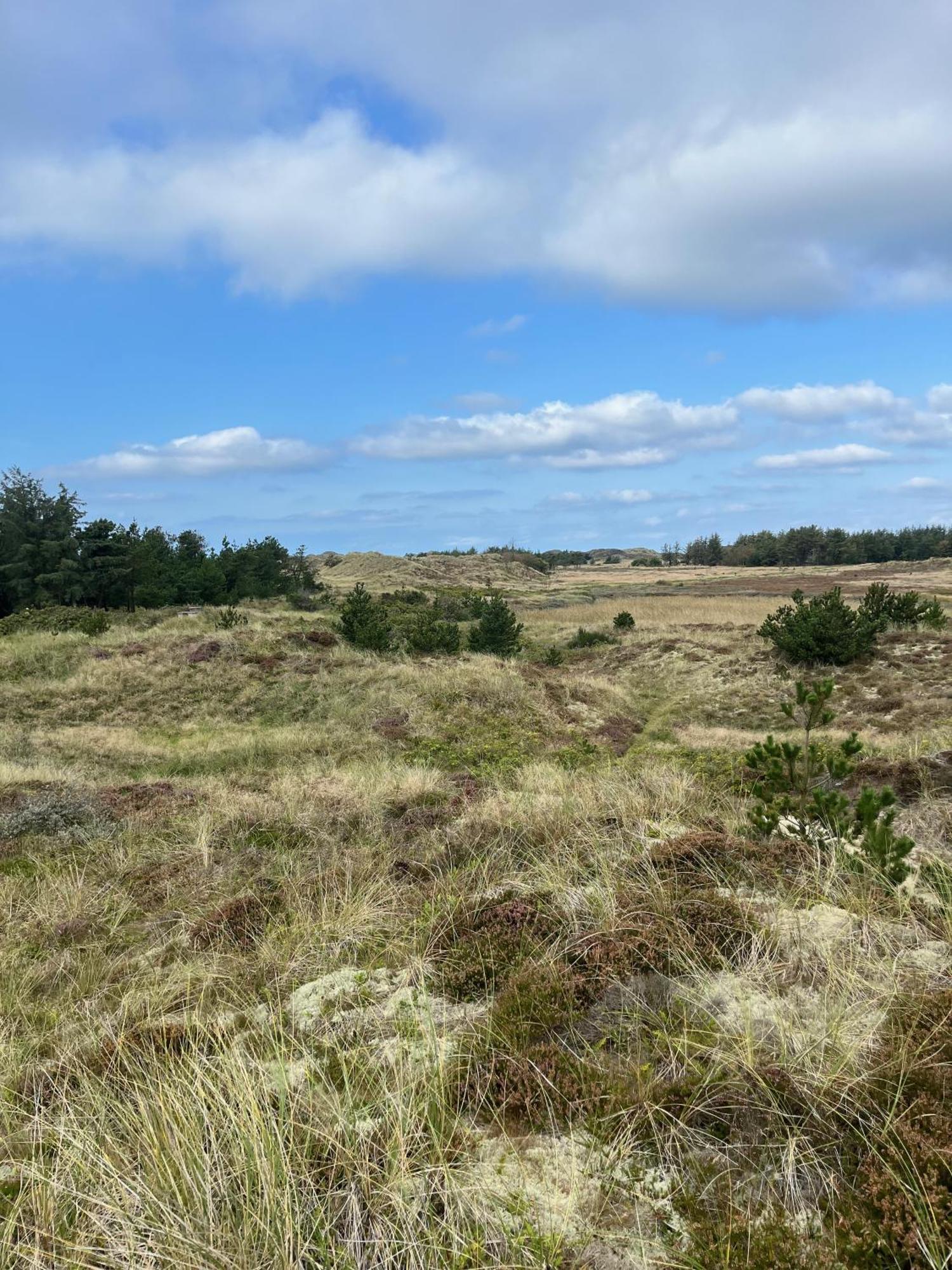 The Beach Farm - Charm, Beach And Stunning Nature Bedsted Thy エクステリア 写真