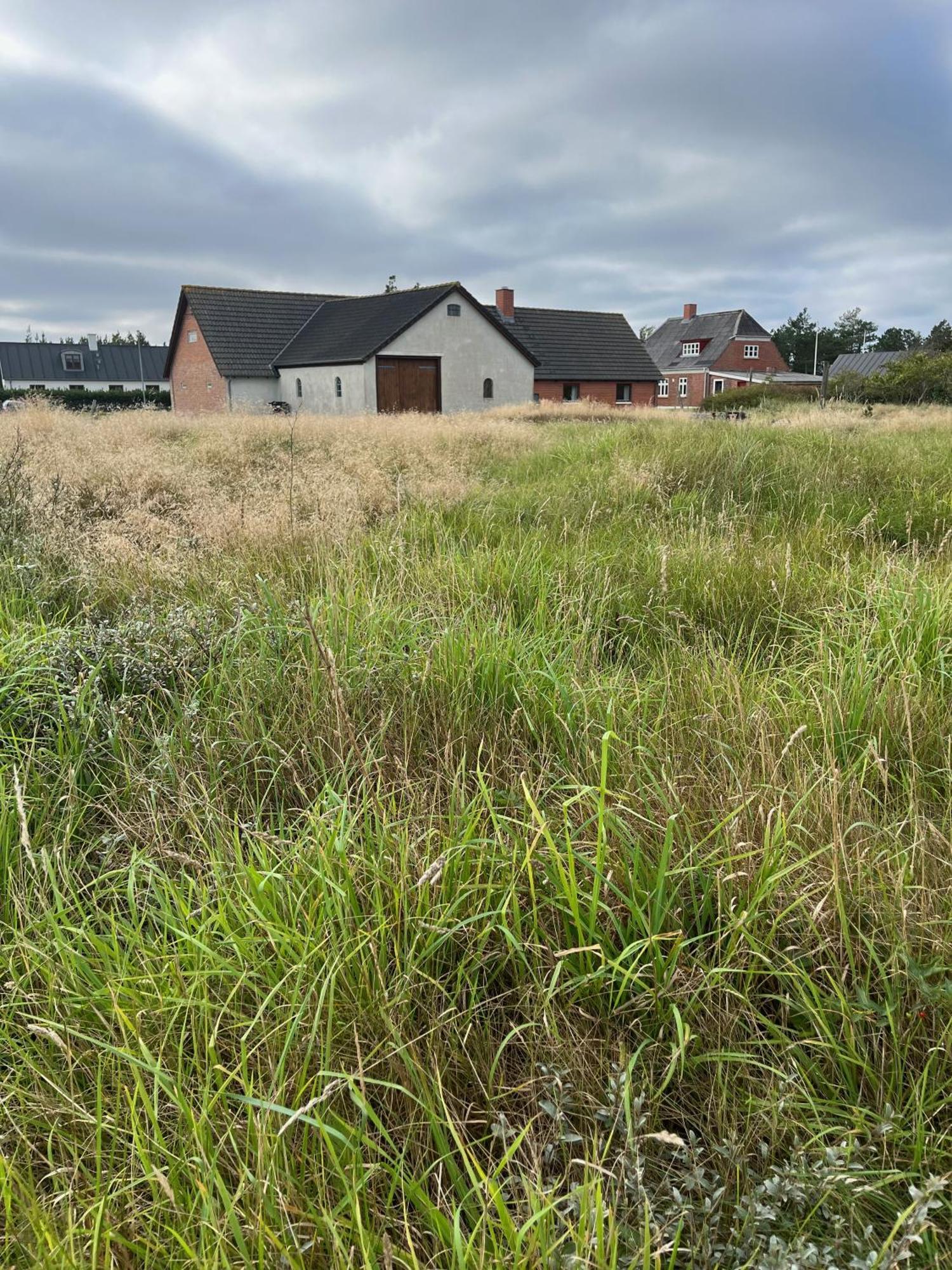 The Beach Farm - Charm, Beach And Stunning Nature Bedsted Thy エクステリア 写真